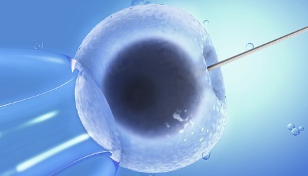 包生男孩中介机构生殖医学中心
